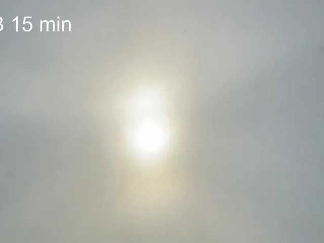 AlikBlack — Actions instead of words)
Sense of humor, sociability, caring and generosity