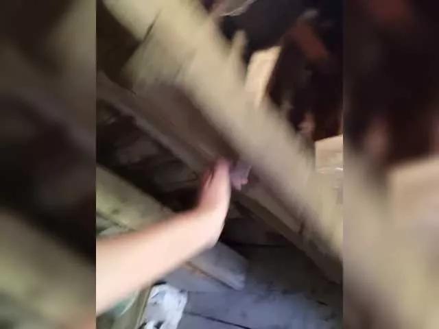 natalia1987 on BongaCams 