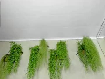 lana_lann on Chaturbate 