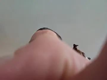 sexmaln1 model from cb