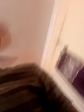 blr_boi model from sc