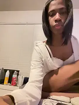 Brenae model from sc