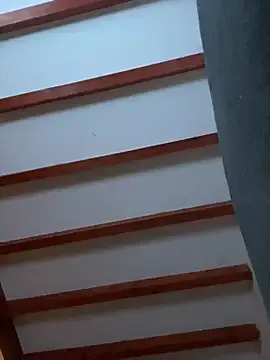 FRbm51 model from sc