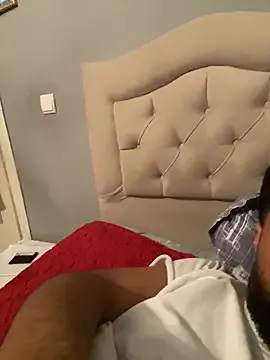 gebze12 model from sc