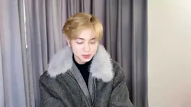 hafabva model from sc