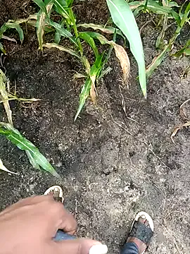 loki-king-143 model from sc