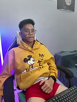 Prince-Harrison model from sc