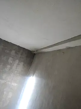 ritwesh model from sc