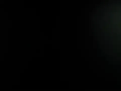 santiago_and_camila model from sc