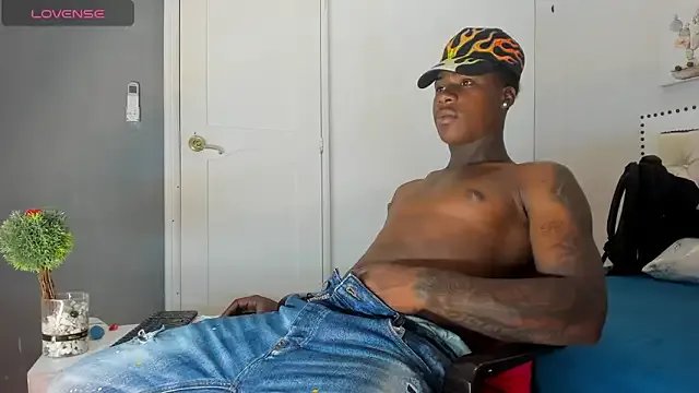 toower_ model from sc